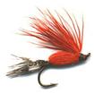 cinnamon sedge